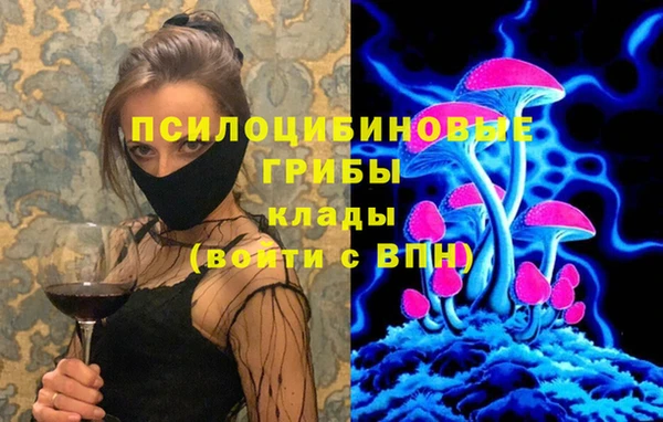 прущая мука Вязники