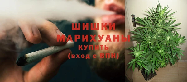 трава Вязьма