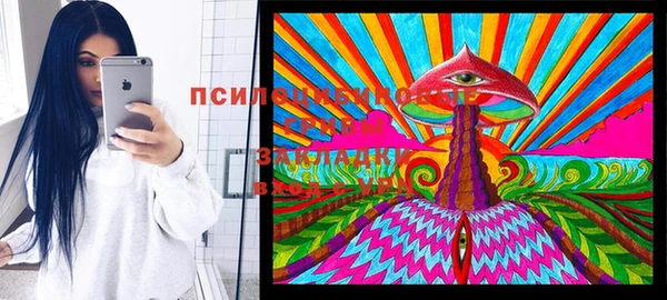 ешки Вяземский