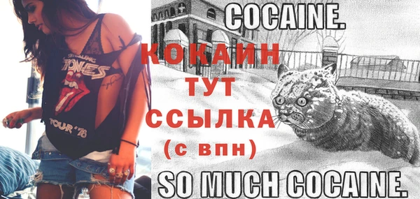 ешки Вяземский