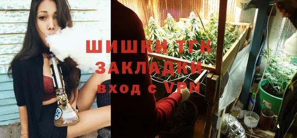 ешки Вяземский