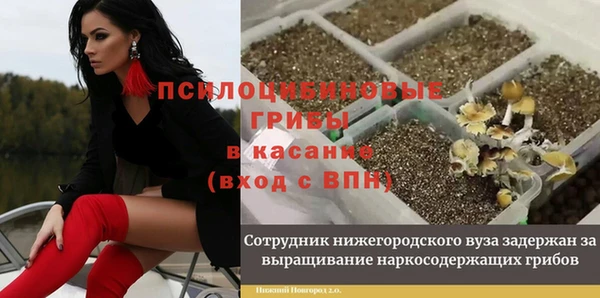 ешки Вяземский