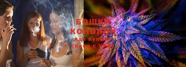 ешки Вяземский