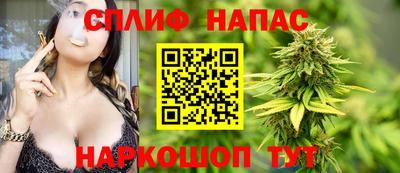 гашик Малгобек