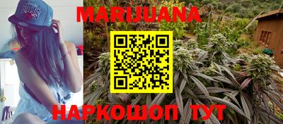 гашик Малгобек