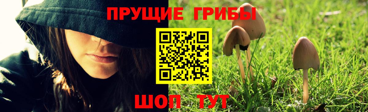 Дивногорск  Галлюциногенные грибы Psilocybe  Вход с VPN  Галлюциногенные грибы прущие грибы 