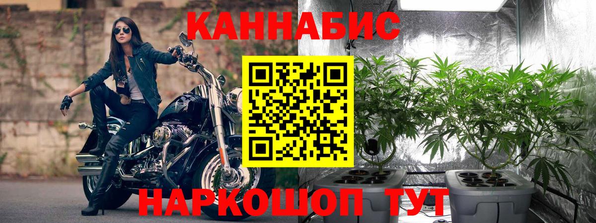 Конопля семена Дивногорск